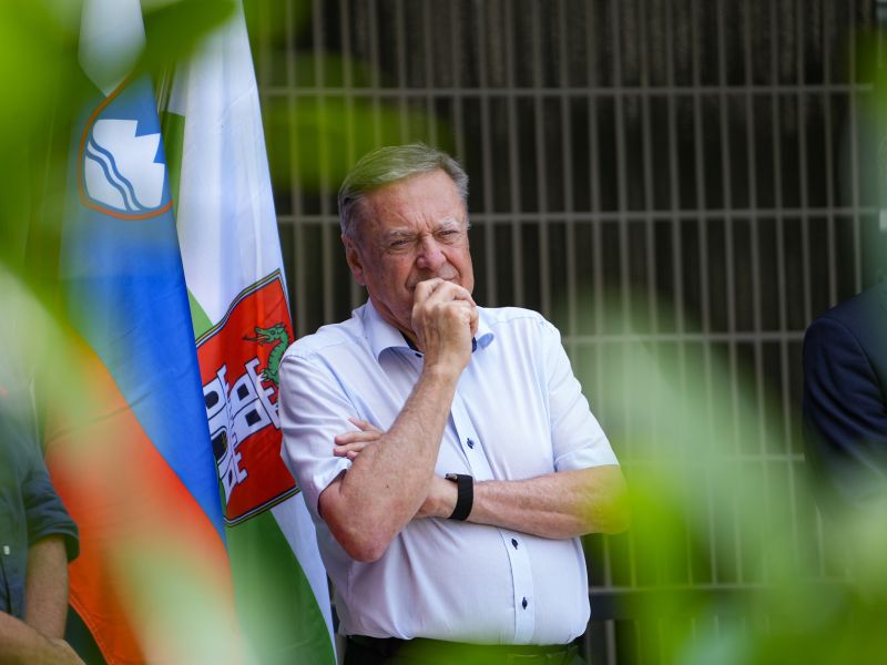 Slika članka