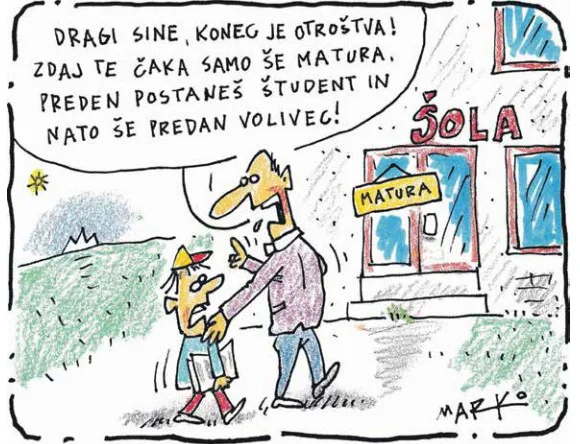 Slika članka