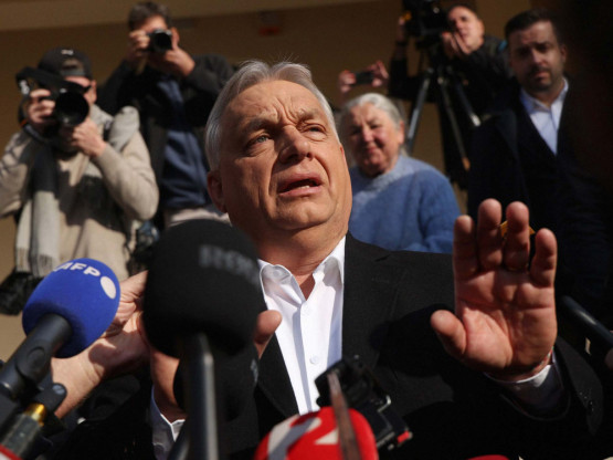 Slika članka