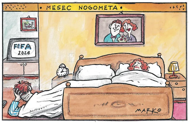 Slika članka