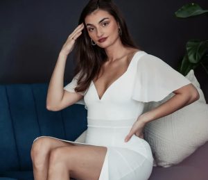 Slika članka