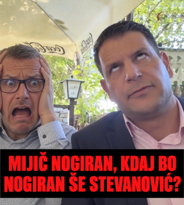 Slika članka