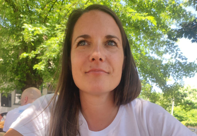 Slika članka