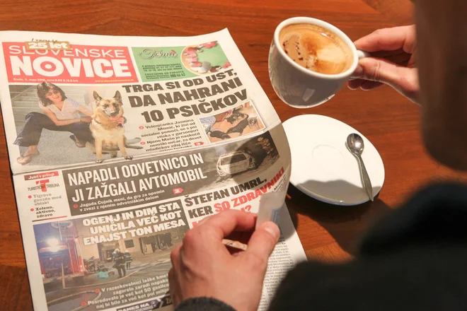 Slika članka