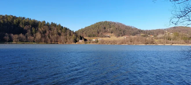 Slika članka
