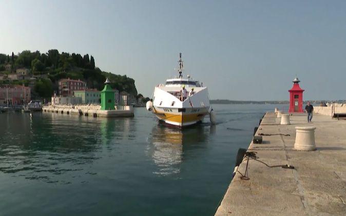 Slika članka