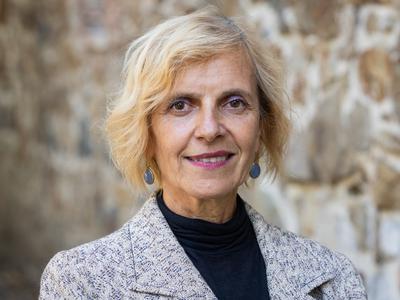 Slika članka