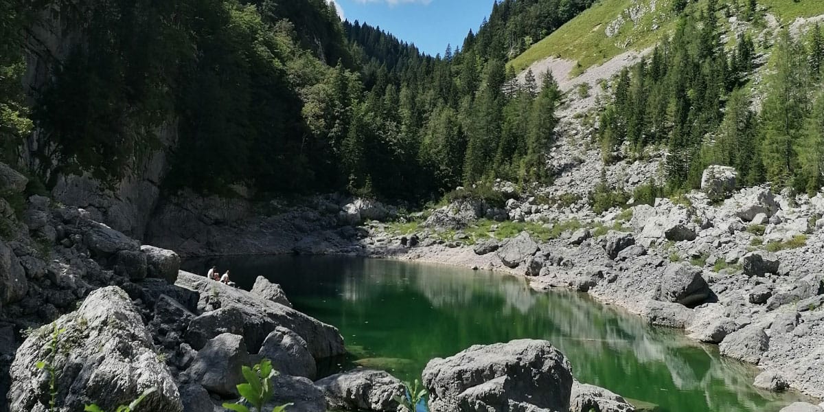 Slika članka