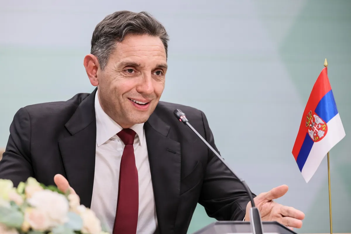 Slika članka