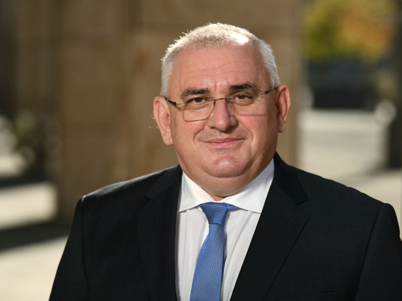 Slika članka