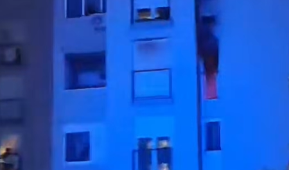 Slika članka