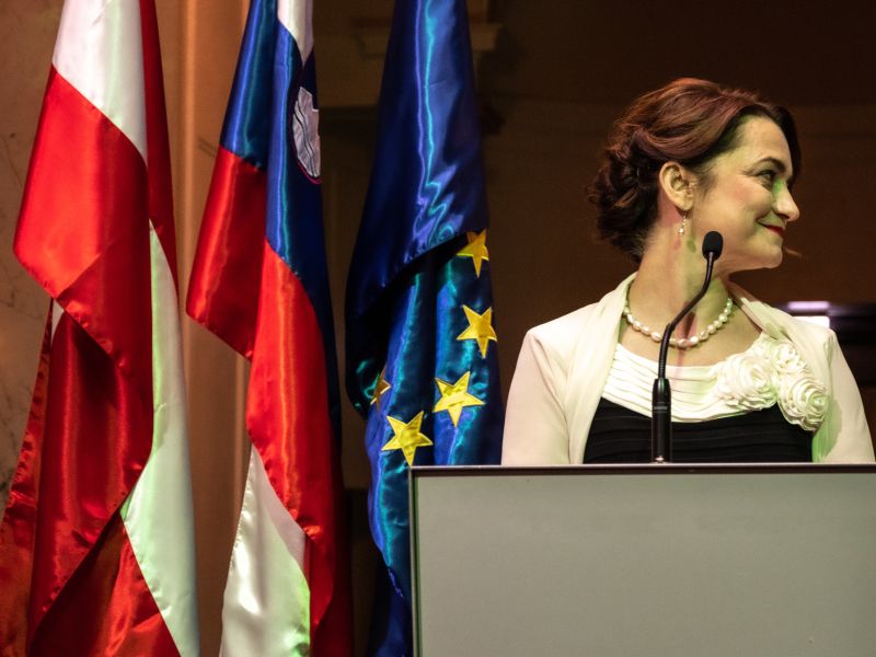 Slika članka
