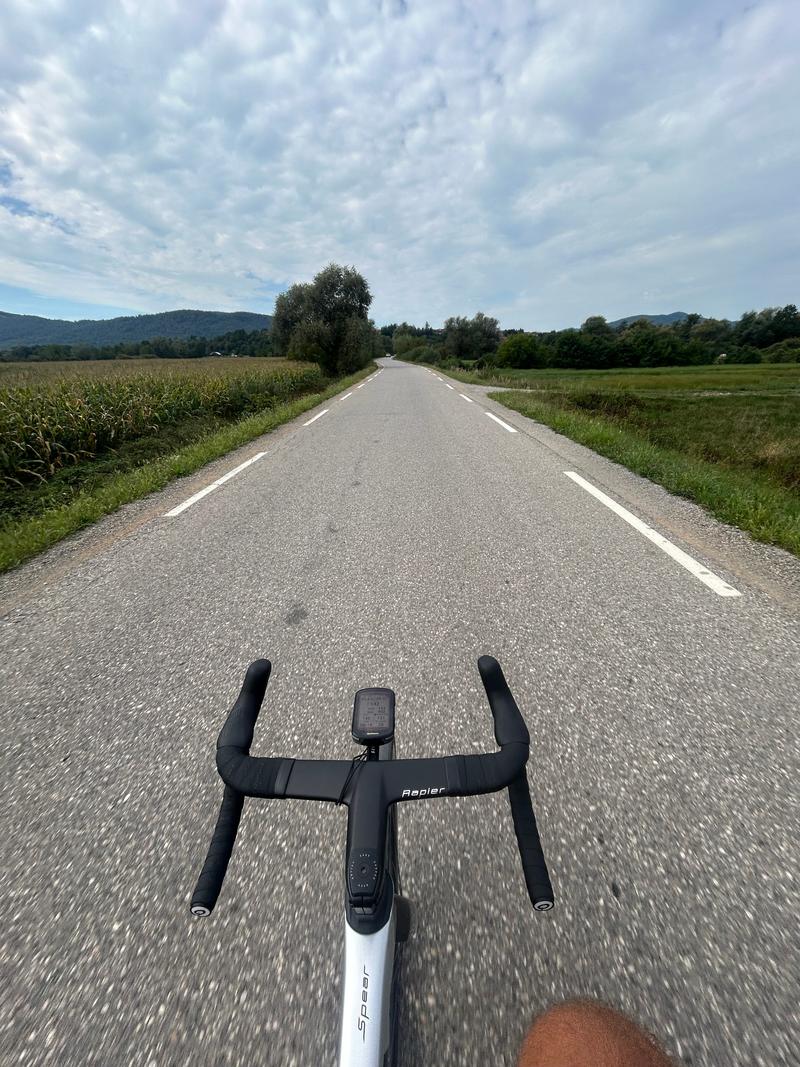 Slika članka