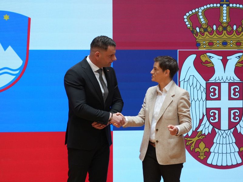 Slika članka