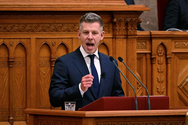 Slika članka