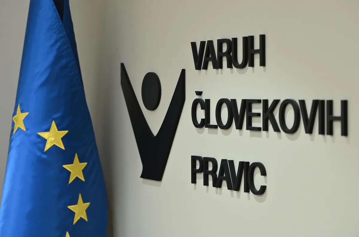 Slika članka