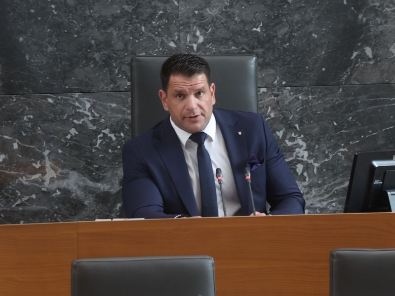 Slika članka