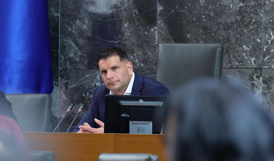 Slika članka