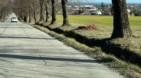 Slika članka