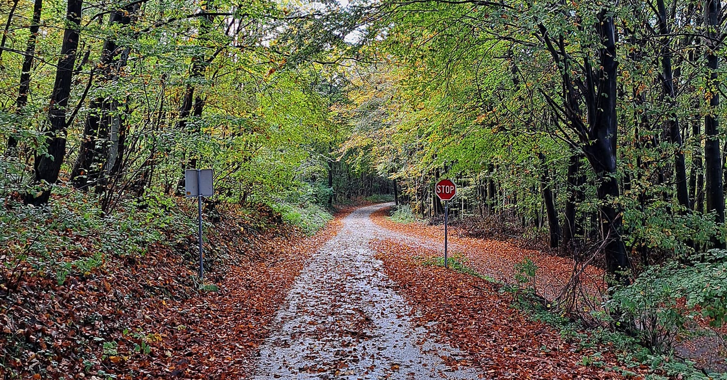 Slika članka