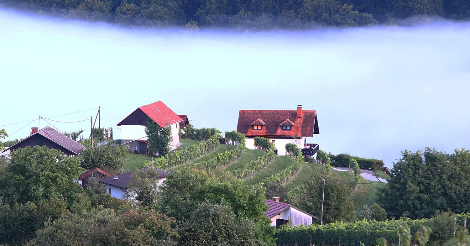 Slika članka