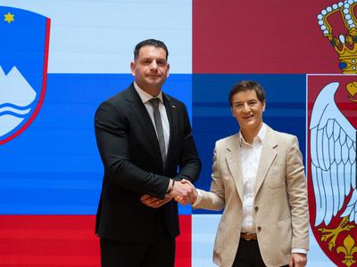 Slika članka