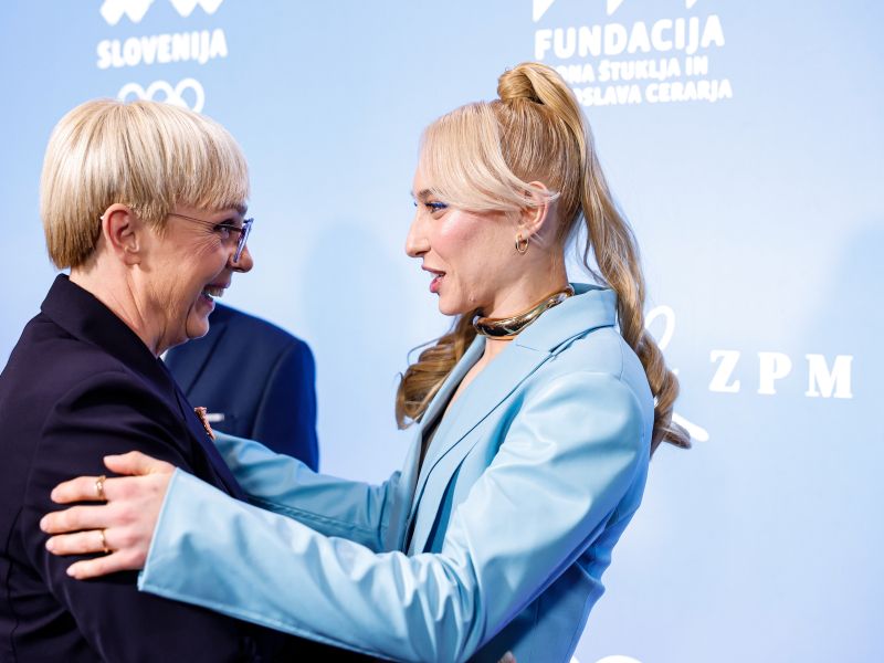 Slika članka