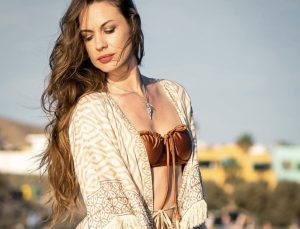 Slika članka