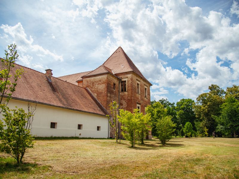 Slika članka