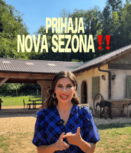 Slika članka
