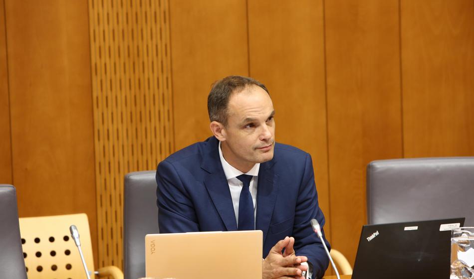 Slika članka