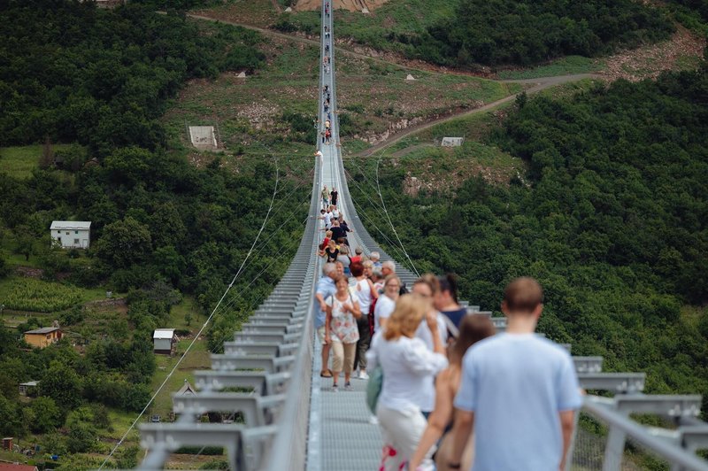 Slika članka
