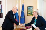 Slika članka