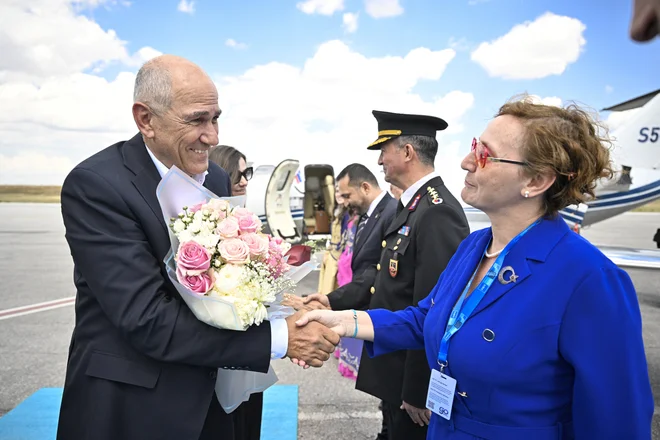 Slika članka