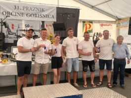 Slika članka