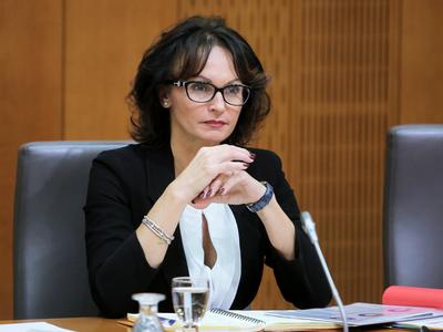 Slika članka