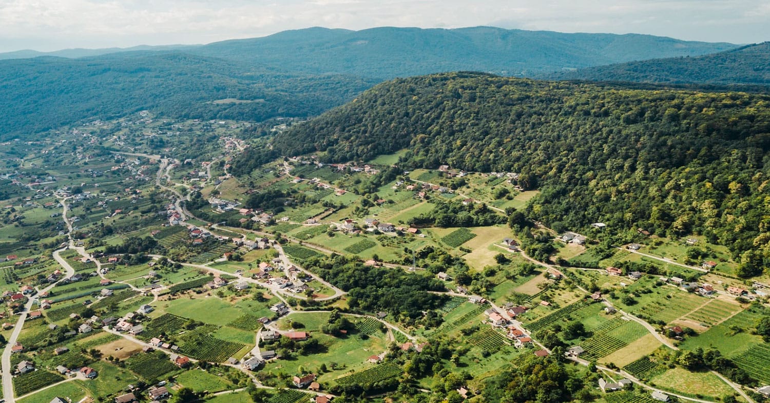 Slika članka