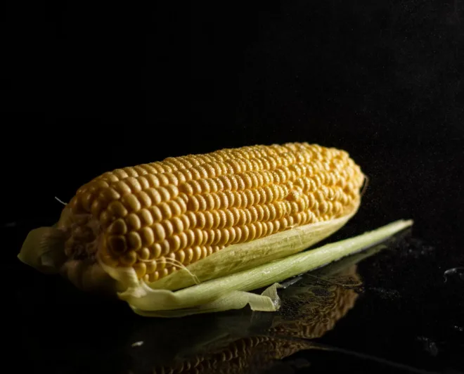 Slika članka