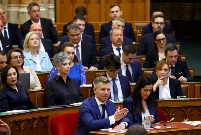 Slika članka