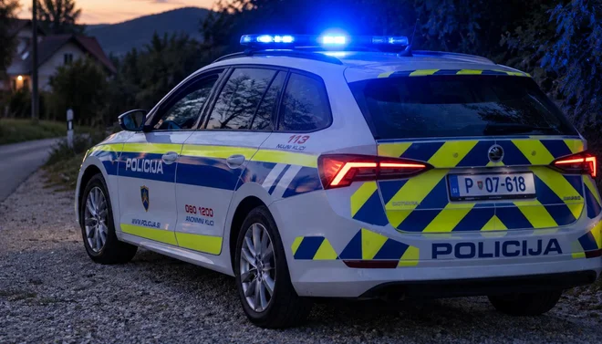 Slika članka