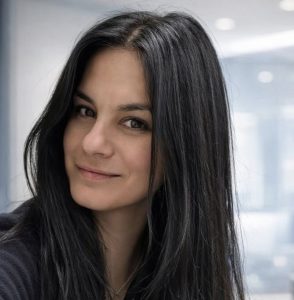 Slika članka