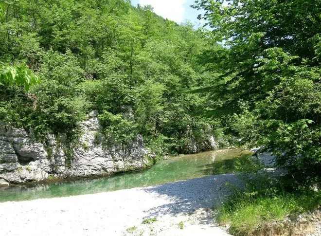 Slika članka