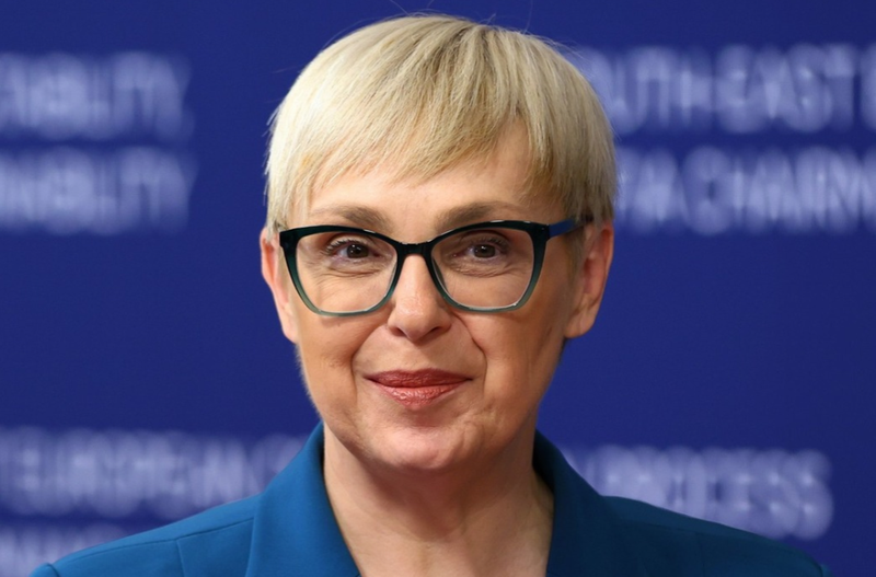 Slika članka