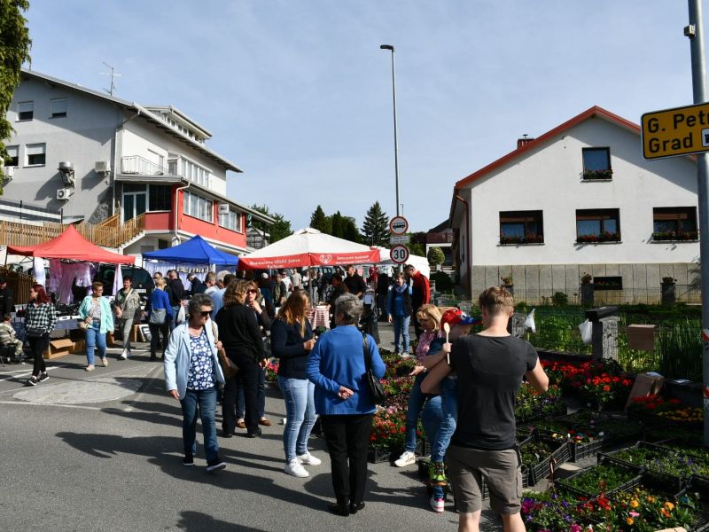 Slika članka