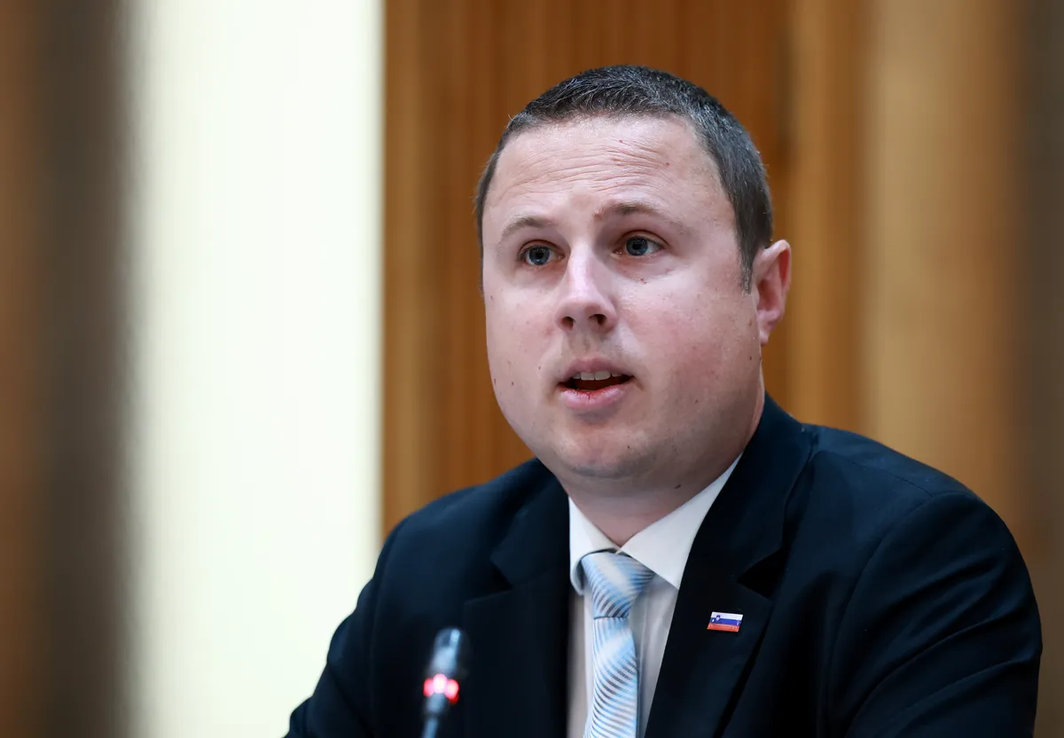 Slika članka