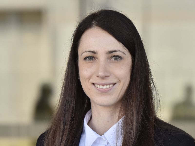 Slika članka