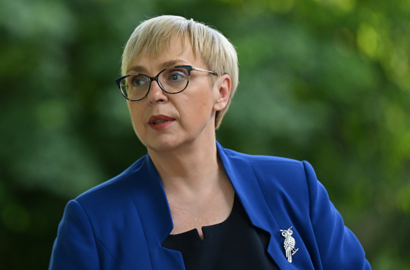 Slika članka