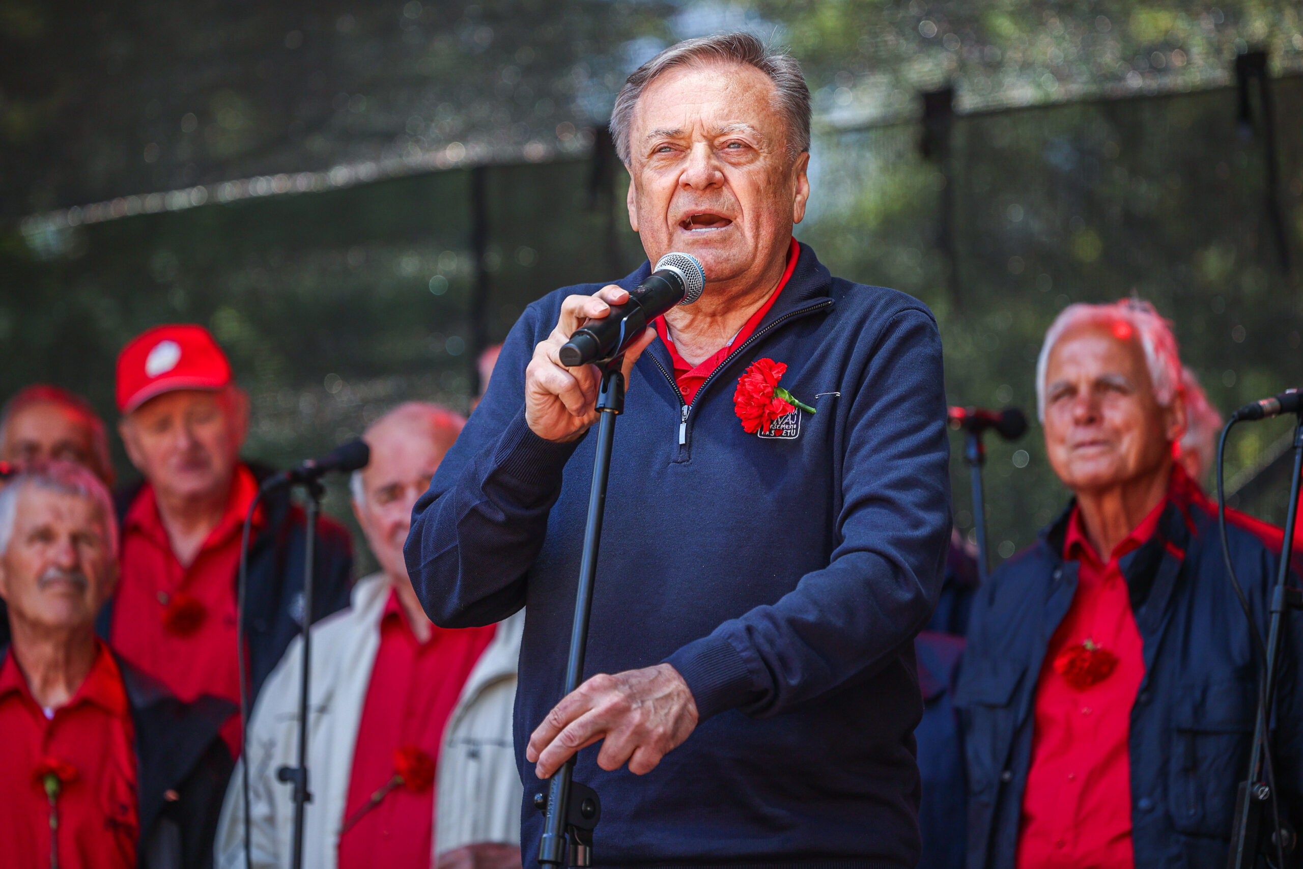 Slika članka