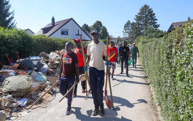 Slika članka