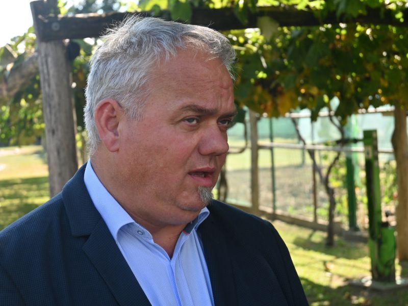 Slika članka